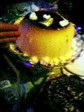 061202_0020~0001-thumbnail2-1.jpg
